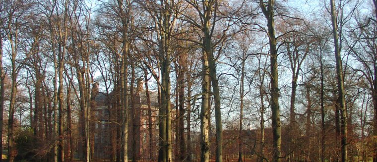 Rassenlijst Bomen