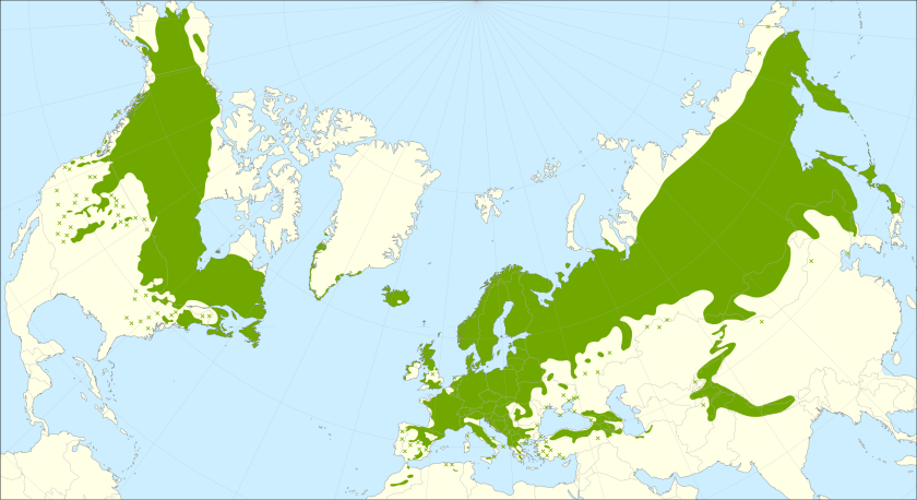 This distribution map has been developed by the European Commission Joint Research Centre (partly based on the EUFORGEN map) and released under Creative Commons Attribution 4.0 International (CC-BY 4.0)